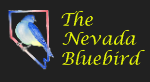 The Nevada Bluebird